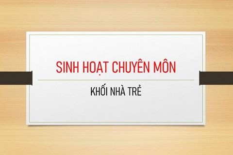 SINH HOẠT CHUYÊN MÔN KHỐI NHÀ TRẺ - LỚP D4
